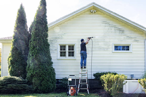 Best Graffiti Removal  in Delta, OH